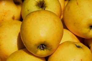 apples, golden delicious, fruit